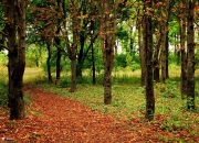 开云APP-生死战逆袭！上海队力克勇士，戈贝尔轰下统治级数据