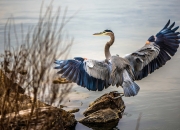 开云体育在线-法比尼奥在生死战中成为上帝，摩纳哥斩落波兰一战的唯一性解读