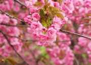 开云体育入口-绿茵场上的火焰，贝林厄姆引领多特蒙德对阵几内亚的友谊盛宴