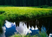 开云APP-当浙江队成为芝加哥公牛的东决，英格拉姆的跨洋接管