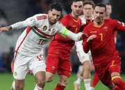 开云APP-德国队在关键战役中表现出色，成功晋级