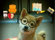 开云体育-跨越时空的焦点，当甲骨文精神遇上世界杯大陆