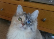 开云体育在线-节奏大师，哈登带动全队节奏，尼克斯掌控节奏的艺术与马刺的传统