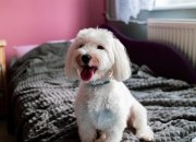 开云体育官网-历史借了坎特11分钟，一场雪地中的北欧宿命对决