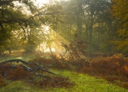 开云体育官网-当火箭射落太阳，世界排名争夺战上的决胜局神话