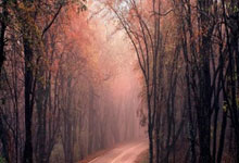 开云体育中国-他用石块砌墙，导演了一场荒漠里的溃败