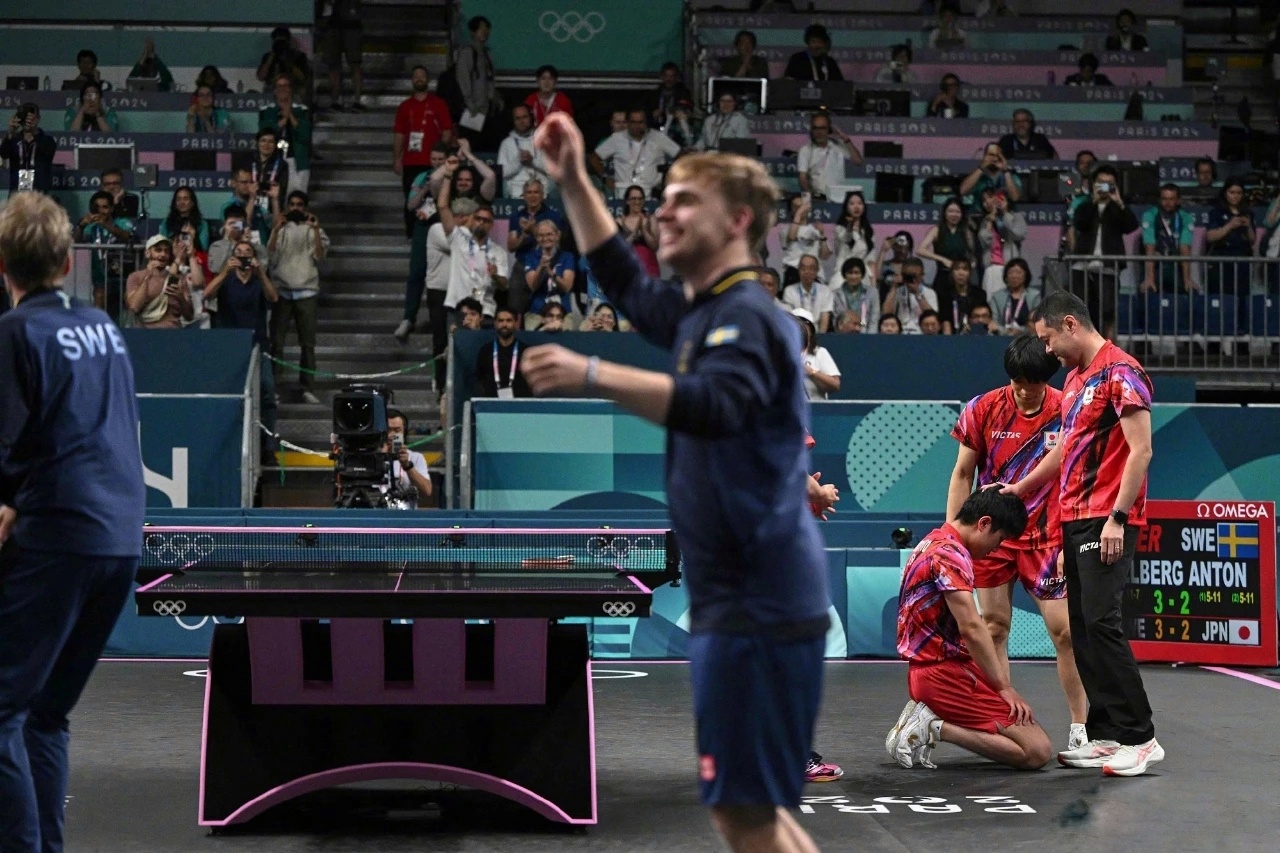 法国队逆转英格兰队，张本智和关键制胜