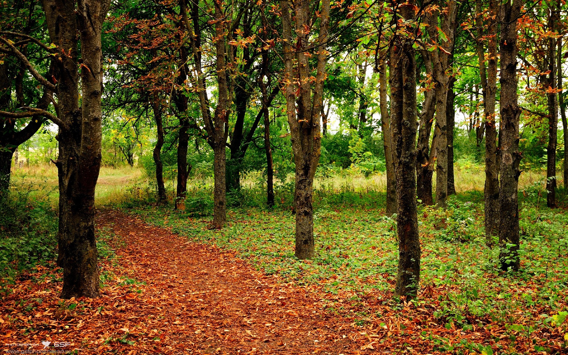 生死战逆袭!上海队力克勇士,戈贝尔轰下统治级数据