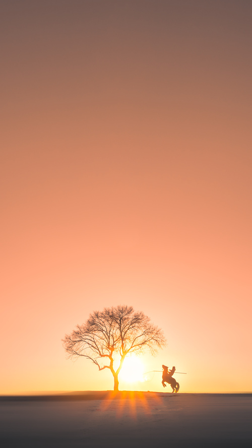 太阳陨落时,一场终结国王的奥运序章