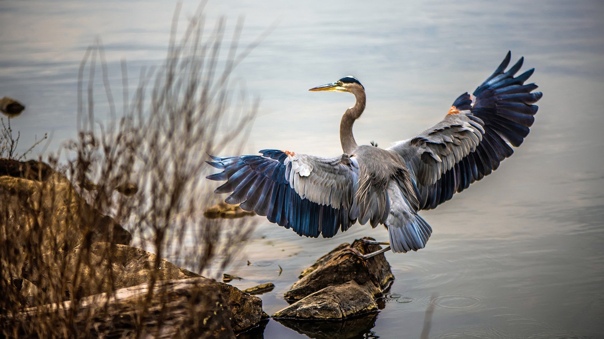 法比尼奥在生死战中成为上帝,摩纳哥斩落波兰一战的唯一性解读