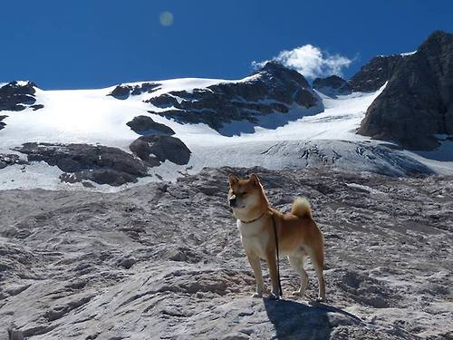 法比尼奥在生死战中成为上帝,摩纳哥斩落波兰一战的唯一性解读