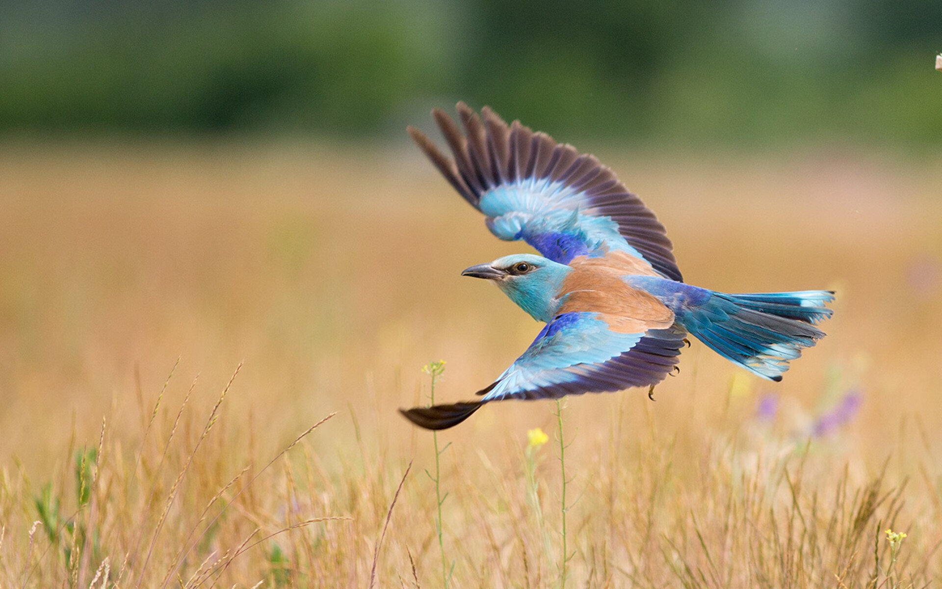 回忆与预言的交错，当尼克斯鏖战活塞，詹姆斯在东决的齿轮开始转动
