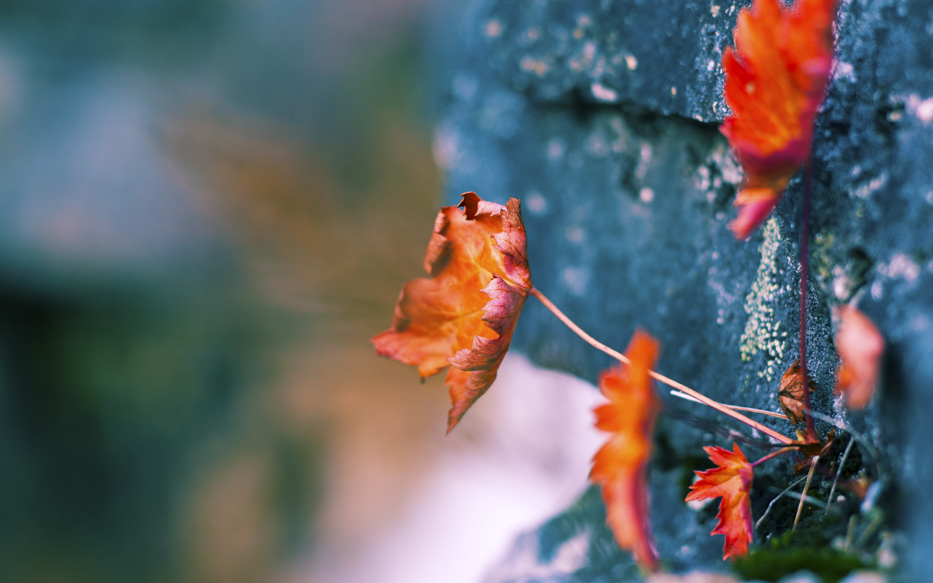 三箭穿云，凯恩帽子戏法掀翻意甲堡垒，哥斯达黎加奇迹淘汰那不勒斯