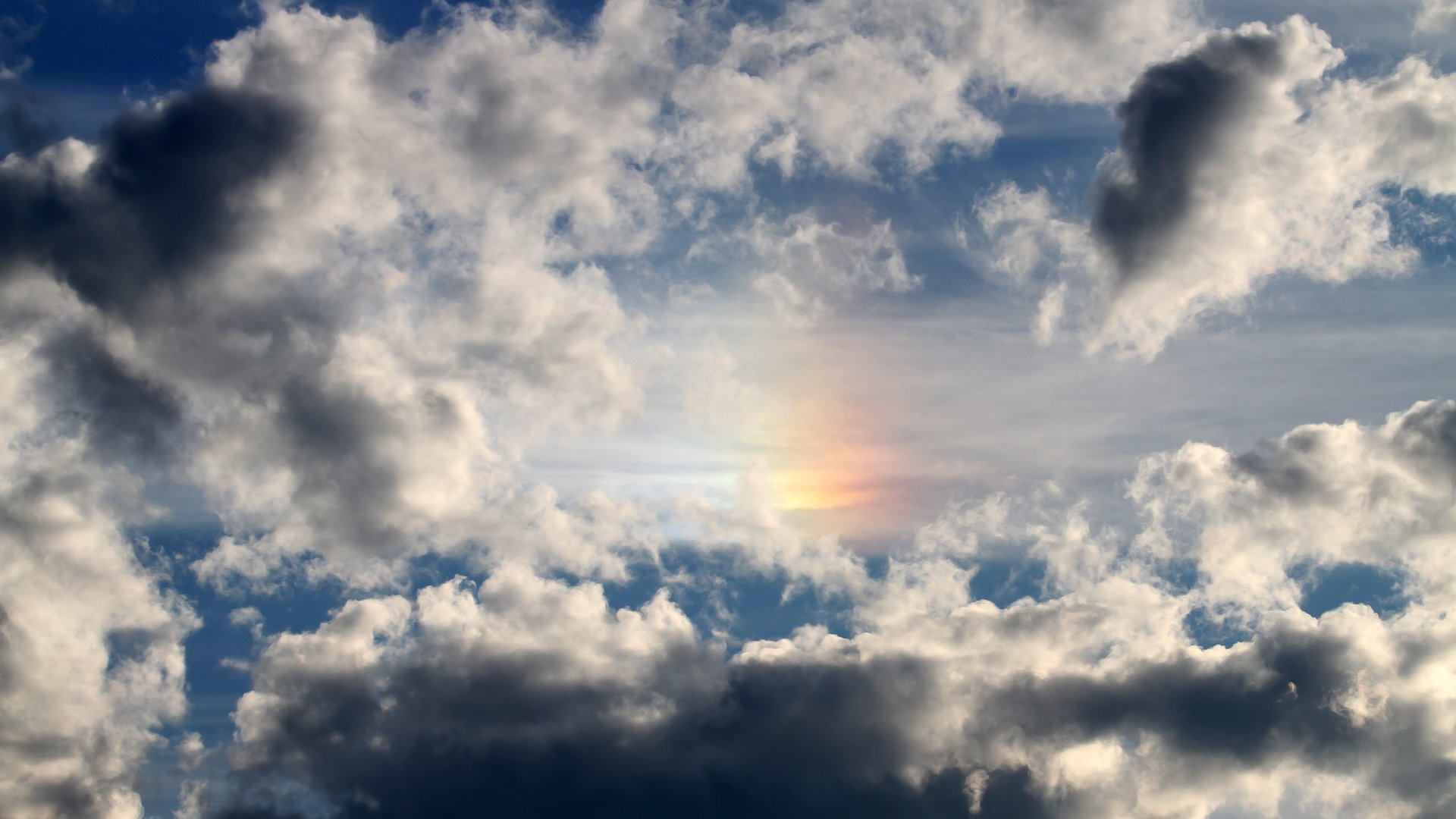 西决生死战风云，牙买加田径军团如何以速度之火压制突尼斯铁壁