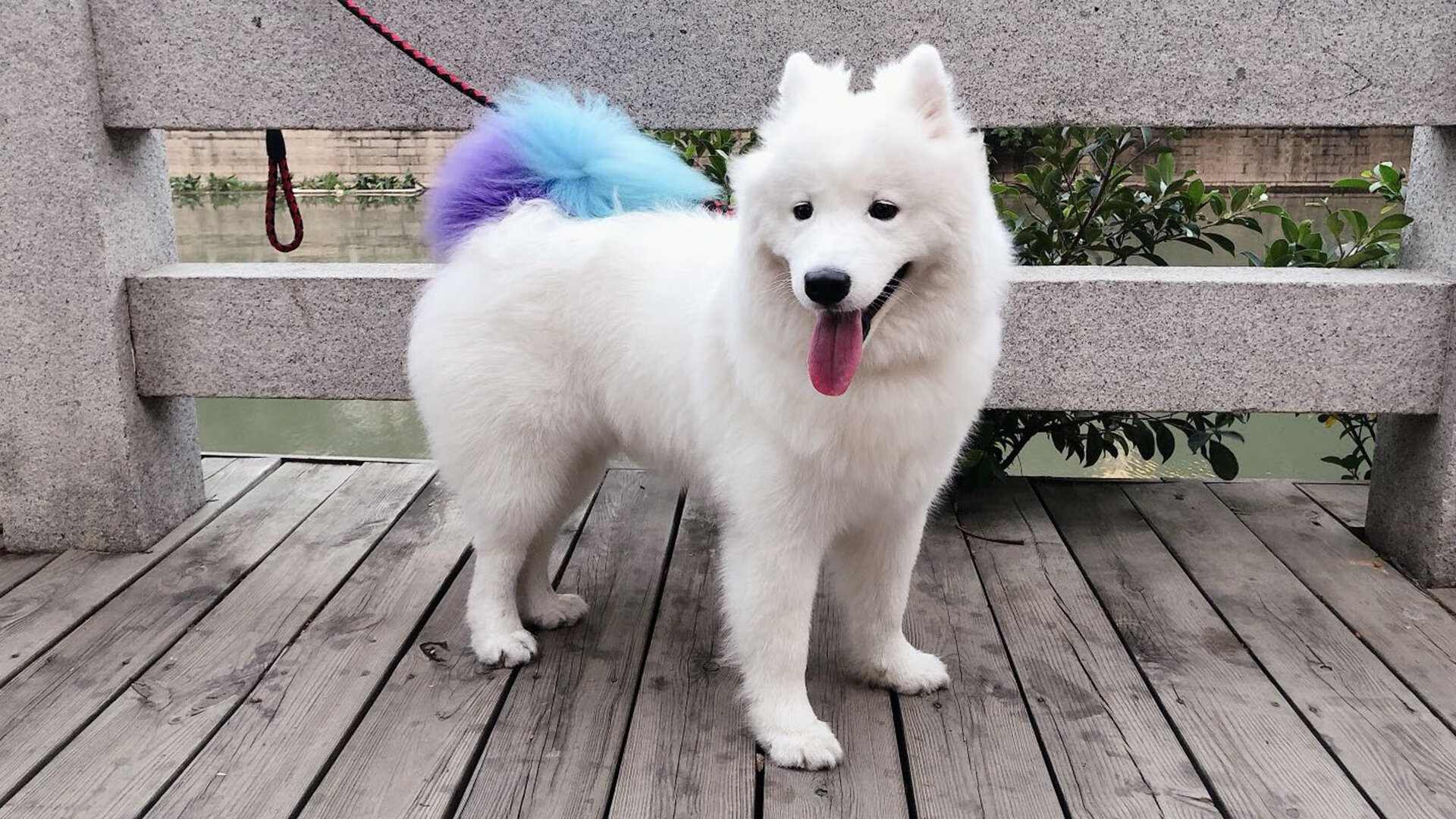 利拉德的死神时刻，当爵士对阵热火的悬念提前退场