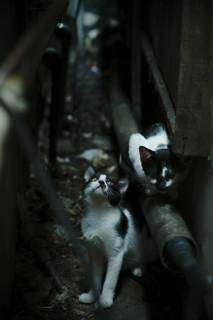 空权纪元,当杜兰特成为篮球世界的制空密钥