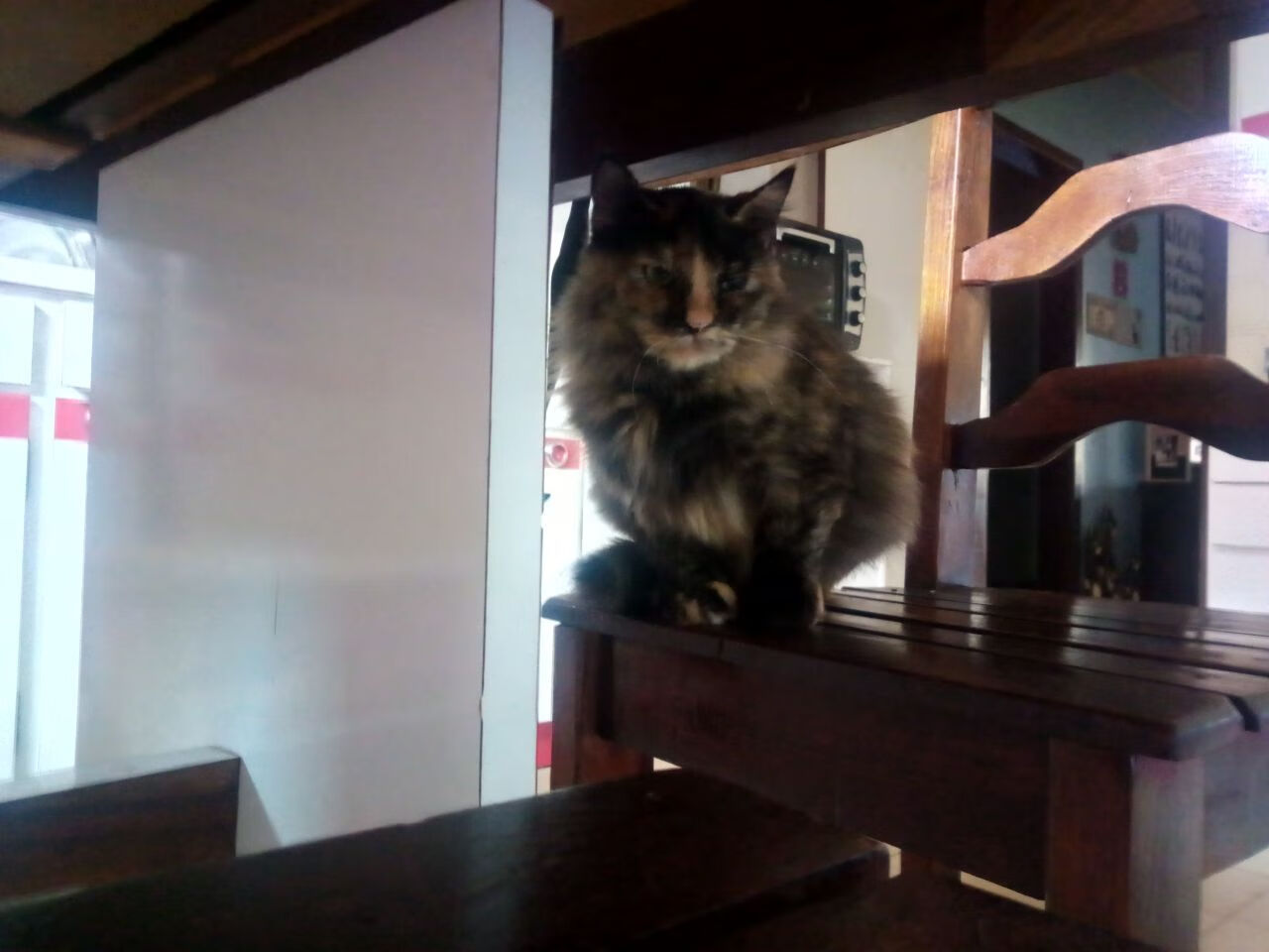 当东部冠军遇上西部霸主,一场打破常规的跨区巅峰对决