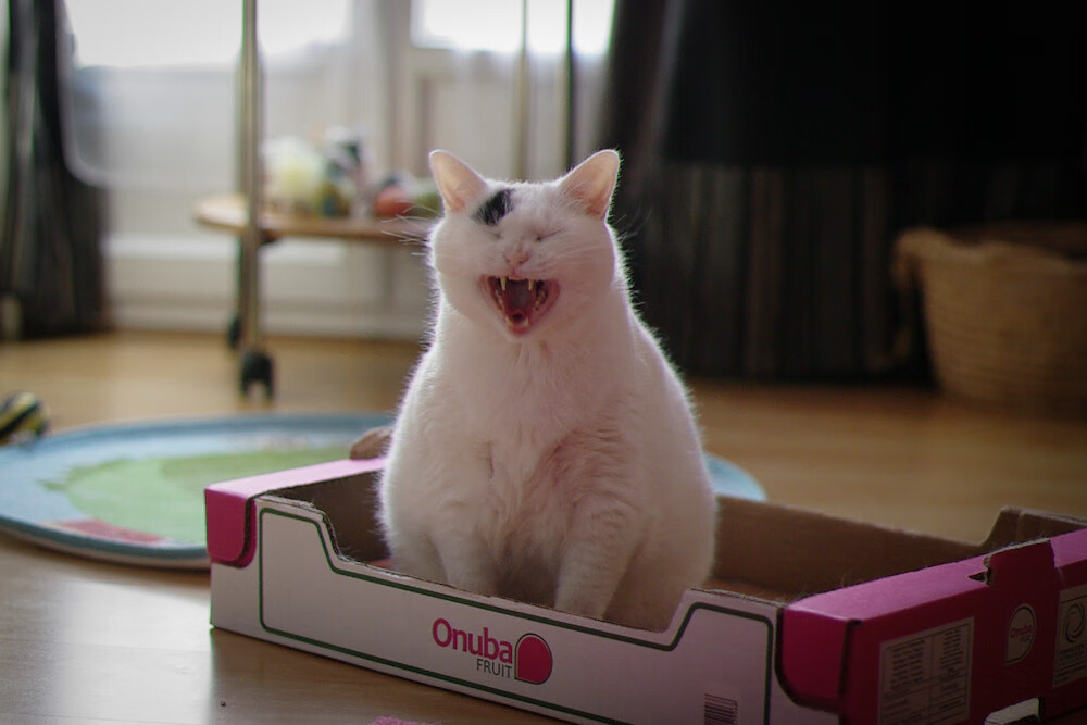 米切尔42分圣城燎原,马刺生死七秒斩落勇士