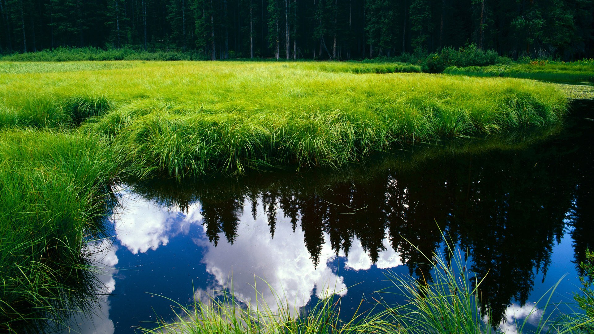 唯一性的体育传奇,澳大利亚强势晋级尼日利亚与库尔图瓦抢七接管比赛