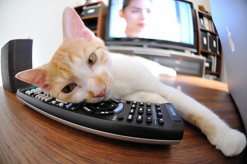 新王践踏旧主王座!杰伦·格林冠军级演出,让勒布朗的回家之夜沦为背景