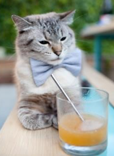 跨界星火,卡瓦哈尔在NBA总决赛之夜的足球艺术燃爆赛场