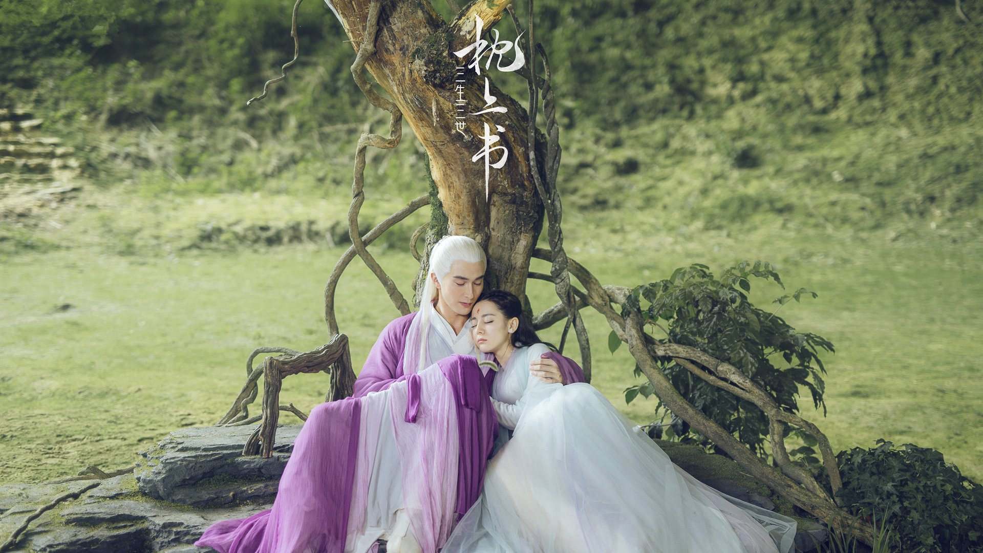 布克式节奏掌控,尼克斯与老鹰对决的胜负关键